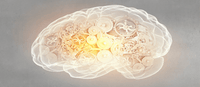 Améliore la mémoire, la cognition et la santé mentale